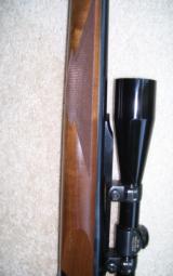 .22 Hornet Ruger #1 - 6 of 6