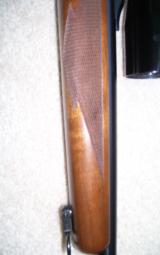 .22 Hornet Ruger #1 - 3 of 6