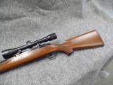 Strum Ruger M77 257 Roberts Bolt Action Rifle - 9 of 13