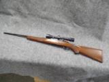 Strum Ruger M77 257 Roberts Bolt Action Rifle - 8 of 13