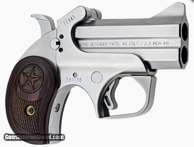 BOND ARMS Texas Defender .45/.410 2 Shot Derringer