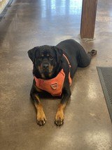 RELOADING SUPPLIES - 2 of 2