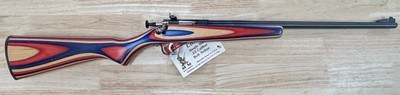 KEYSTONE Cricket Single Shot Stainless Rifle .22LR, Red/White/Blue Laminate Stock - Image 1 of 3