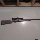 Savage .17 caliber Sporter Rifle - 1 of 6