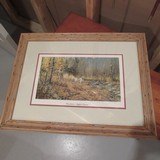 Paco Young print - 1 of 1