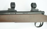 Remington Model 700 in 300 Win Mag - 10 of 14