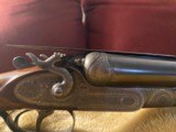 Perfect 12 gauge Hammer Pigeon Shotgun - 4 of 15