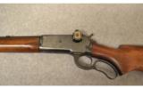 Winchester Model 71
.348 WCF - 4 of 8