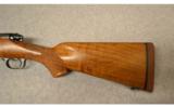 Winchester Pre-64 Model 70 .375 H&H - 7 of 8