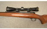 Winchester Pre-64 Model 70 .270 WIN - 4 of 8