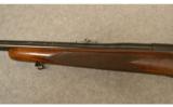 Winchester Pre-64 Model 70
.375 H&H - 6 of 8