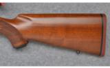 Ruger M77 African .458 WIN MAG. - 7 of 9