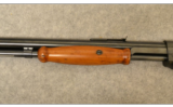 Winchester Model 1906 Expert
.22 LR - 9 of 14