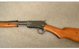 Winchester Model 1906 Expert
.22 LR - 8 of 14