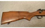 Winchester Pre '64 Model 70 Standard Grade
.300 H&H - 9 of 9