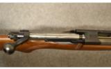 Winchester Pre '64 Model 70 Standard Grade
.300 H&H - 7 of 9