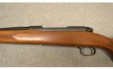 Winchester Pre '64 Model 70 Standard Grade
.300 H&H - 8 of 9