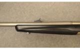 Browning X-BoltStainless Stalker.375 H&H - 9 of 9