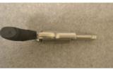 Taurus Judge Stainless
3