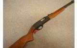 Winchester Model 190
.22 LR - 1 of 8