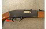 Winchester Model 190
.22 LR - 2 of 8