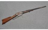 Winchester 1895 in .35 WCF - 1 of 8