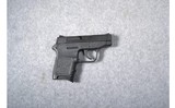 Smith & Wesson Bodyguard .380