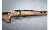Savage Model 25 .17 Hornet - 3 of 9