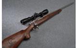 Remington 700 Stainless Ducks Unlimited Rifle in .270 - 1 of 9