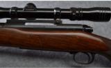 Winchester Pre- 64 Model 70 Rifle in .270 Win - 7 of 9