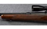 Winchester Pre- 64 Model 70 Rifle in .270 Win - 8 of 9
