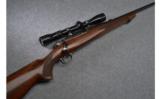 Winchester Pre- 64 Model 70 Rifle in .270 Win - 1 of 9