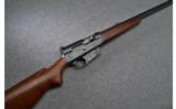 Remington Model 81 Woodsmaster Auto Rifle in .300 Savage - 1 of 9