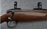 Sako III Bolt Action Rifle in .243 - 2 of 9
