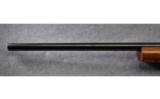 Remington 40x Single Shot Bolt Rifle in .22-250 - 9 of 9