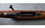 CZ 550 Bolt Action Rifle in .243 Win - 4 of 9