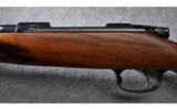 CZ 550 Bolt Action Rifle in .243 Win - 7 of 9