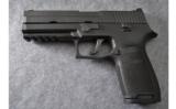 Sig Sauer P250 Semi Auto Pistol in .45 Auto with 9mm Conversion Kit - 2 of 3