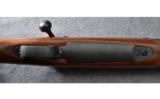 Winchester Model 70 Bolt Action Rifle in .375 H&H Mag - 3 of 9