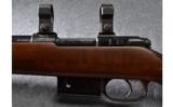 CZ model 527 Varmint Bolt Action Rifle in .17 Rem - 7 of 9