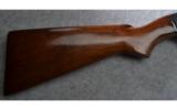 Winchester Model 42 Pump Shotgun in .410 Gauge - 3 of 9