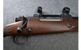 Winchester Model 70 Bolt Action RIfle in .375 H&H - 2 of 9