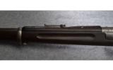 Springfield Model 1896 Bolt Action Rifle in .30-40 Krag - 8 of 8