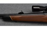 Winchester Model 70 Bolt Action Rifle in .30-06 Sprg. with RedField Scope - 8 of 9