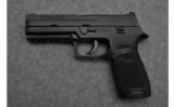Sig Sauer P250 Semi Auto Pistol in .45 Auto - 2 of 4