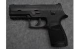 Sig Sauer P250 Semi Auto Pistol in .45 ACP - 2 of 4