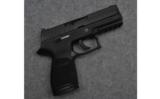 Sig Sauer P250 Semi Auto Pistol in .45 ACP - 1 of 4