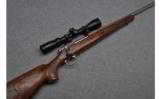 Remington 700
Stainless Duck Unlimited Bolt Action Rifle in .270 Win - 1 of 9