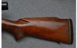 Winchester Model 70 Pre 64 Bolt Action Rifle in .243 Win - 6 of 9