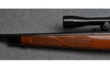 Remington Model 700 Bolt Action RIfle in .17 Rem - 8 of 9